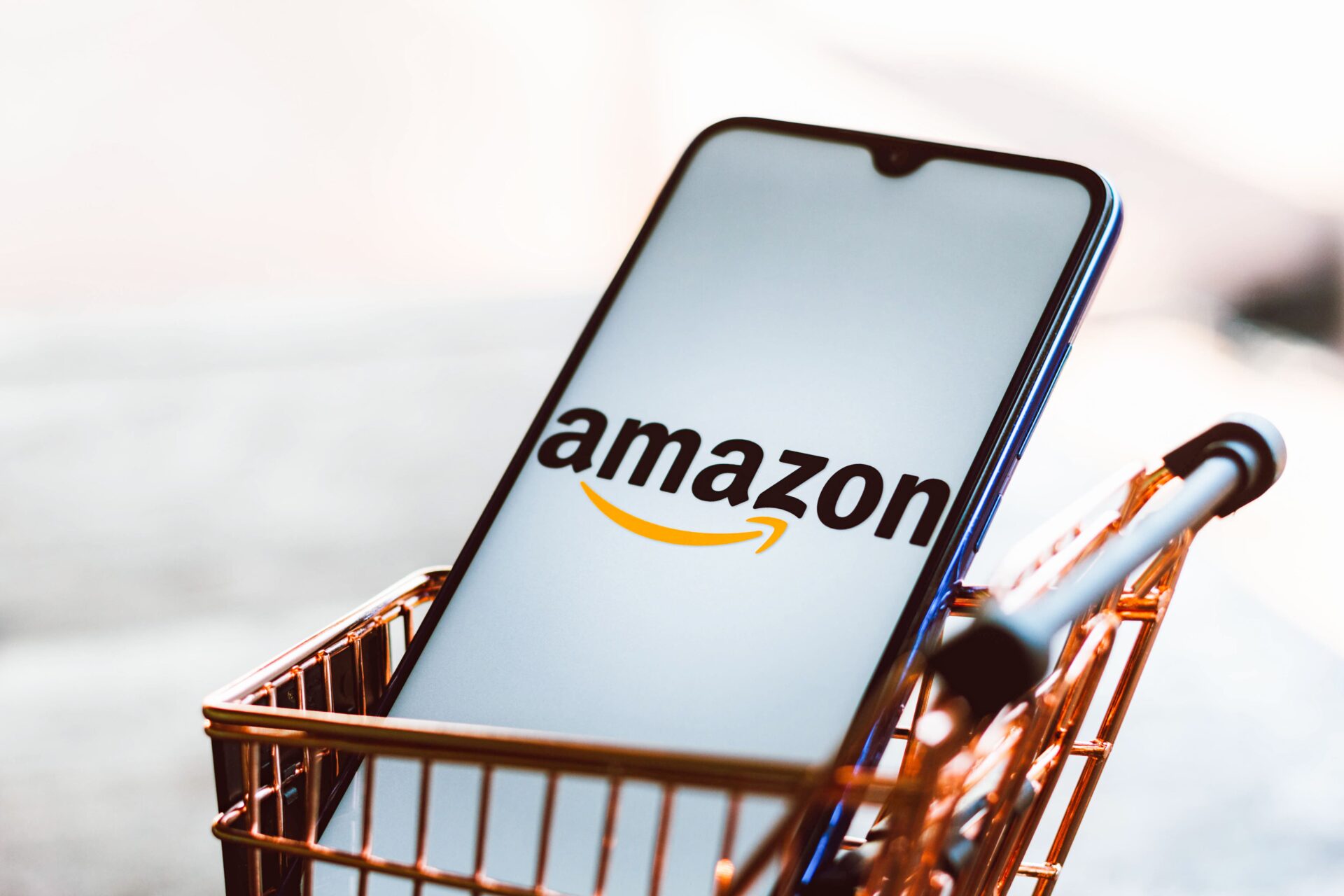 Is a Done for You Amazon Store a Smart Investment in 2024?