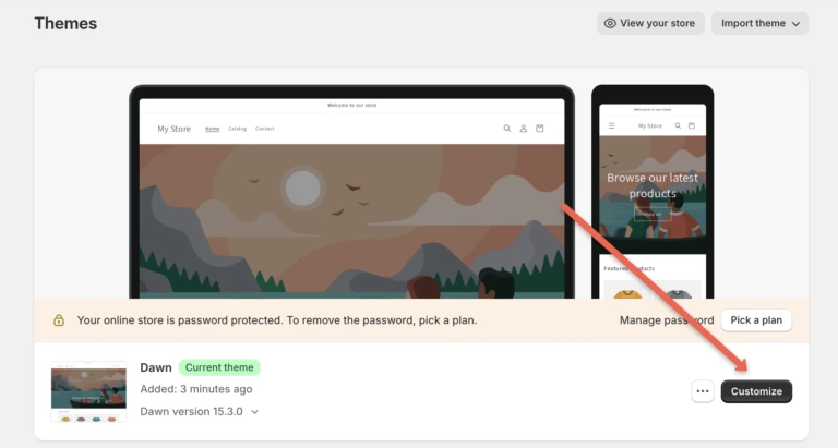 Shopify Theme Customize