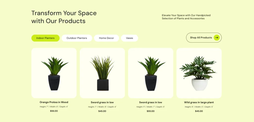 Eco Friendly Gift Shop Names